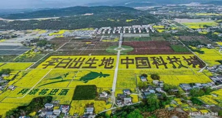 君遇圣景；匡山脚下拜读将进酒