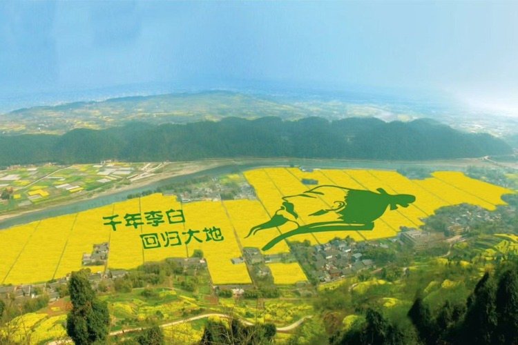 联系我们