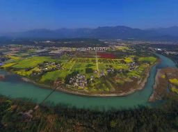 “李白”沉醉花田间！江油又现巨幅创意油菜花盛景